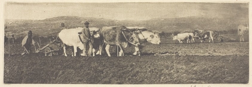 Ploughing on the Campagnetta