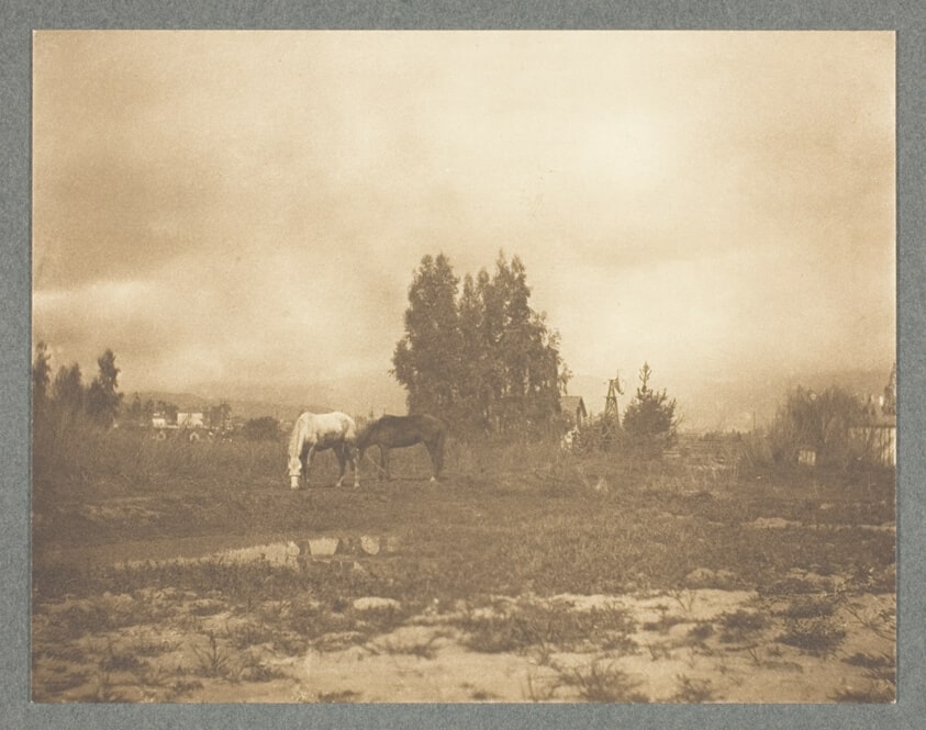 Pasadena Landscape, No. 3 from the portfolio "American Pictorial Photography, Series I" (1899)