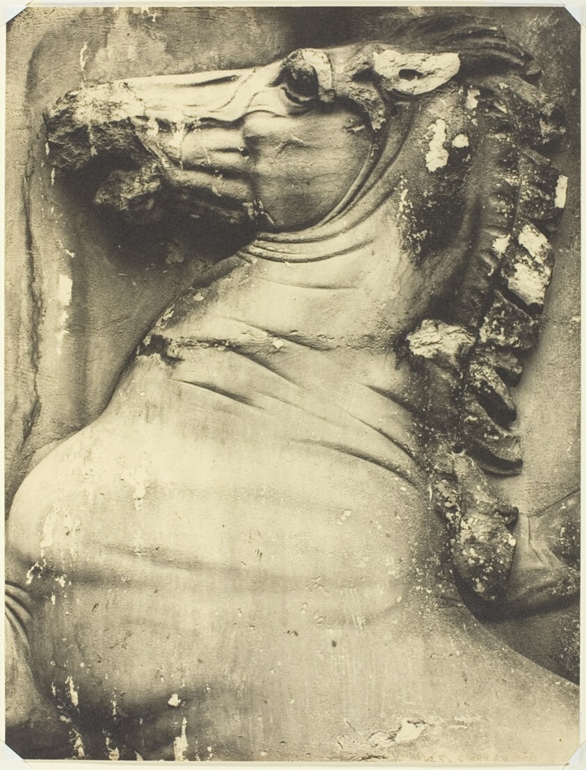 Rearing Horse–West Frieze, Parthenon
