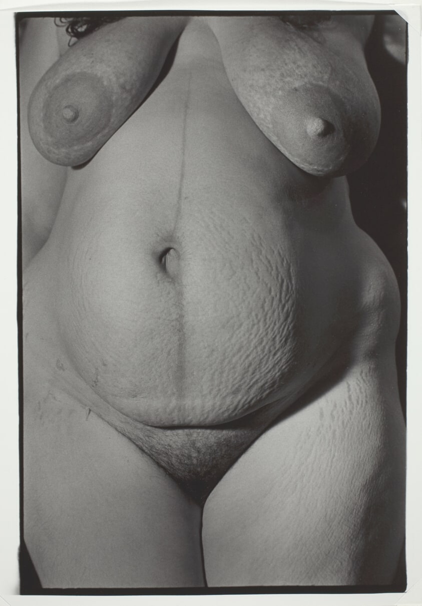 Mill Valley, California, from the series "Shape of Birth"