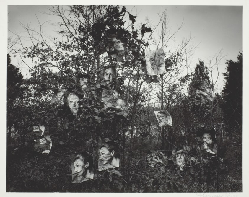 Faces #2