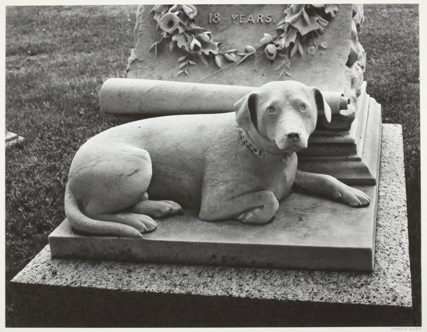 Marble Dog, Mount Auburn Cemetery, Watertown, Massachusetts