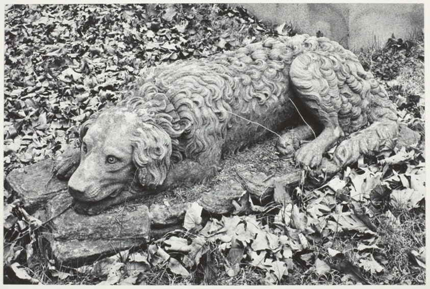 Stone Dog, Chippiannock Cemetery, Rock Island, Illinois