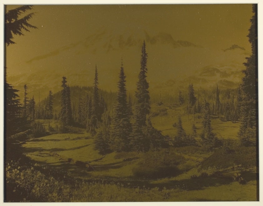 View of Mt. Rainier, Seattle, Washington