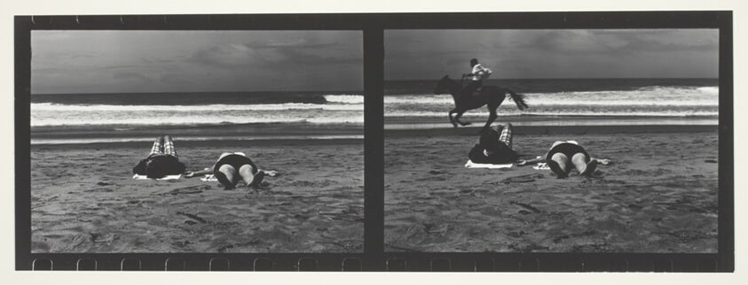Horse on the Seashore, San Francisco