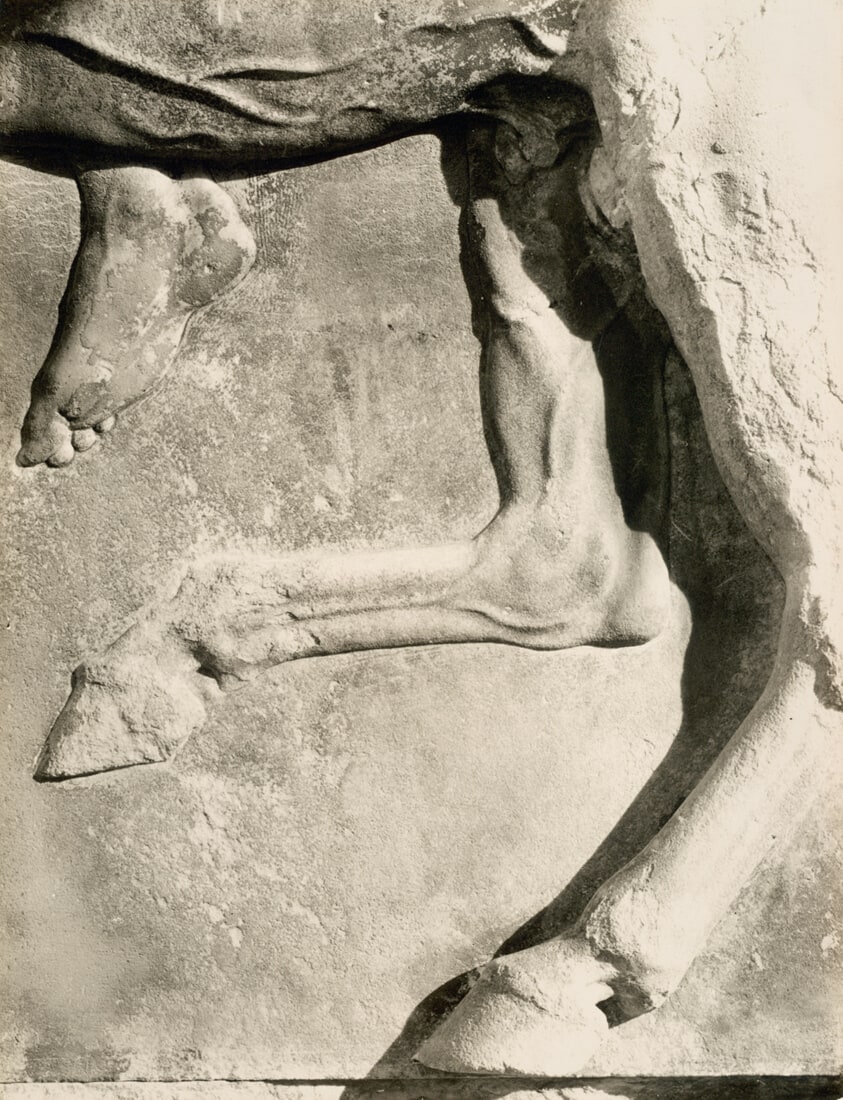 Hindquarter of Horse - West Frieze, Parthenon