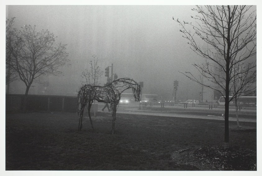 Chicago, D.B. Horse