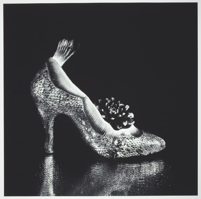 High Heel of Salmon and Flatfish