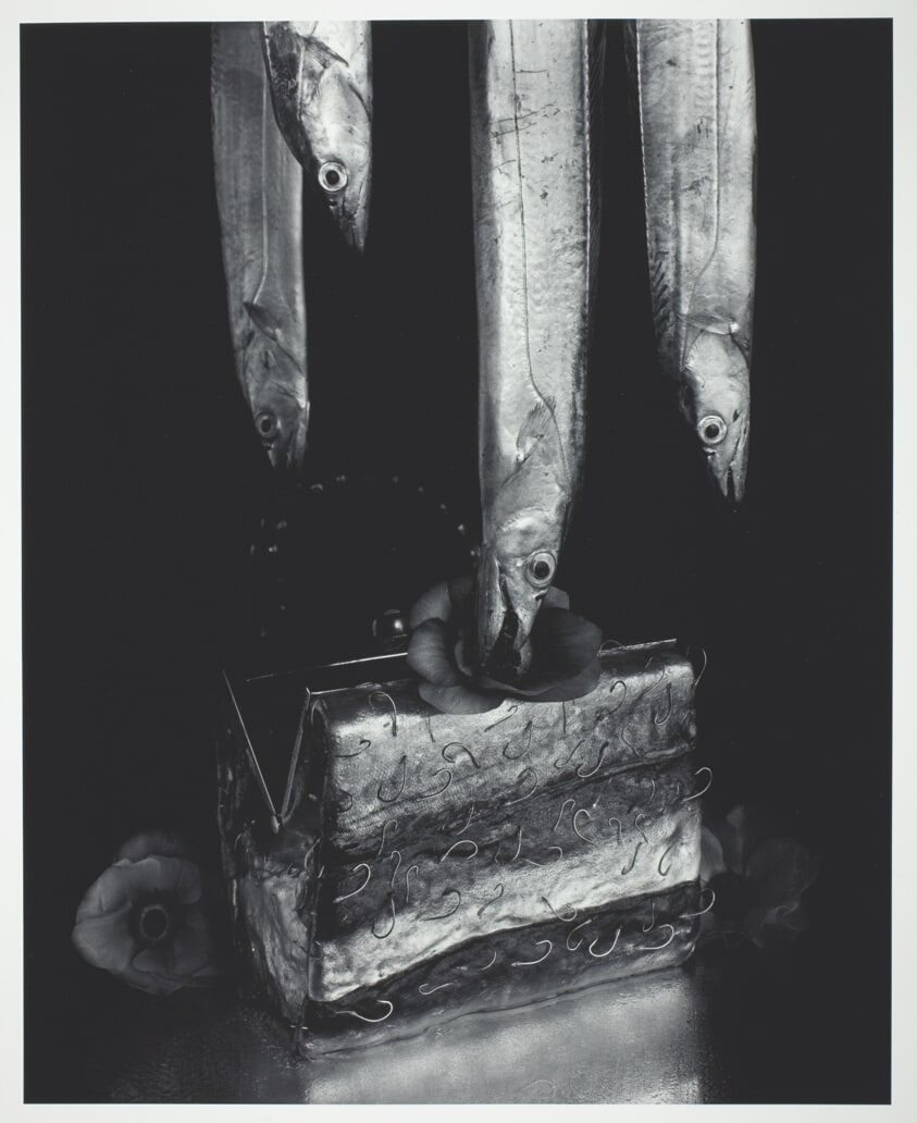 Mackerel, Hairtail and Handbag