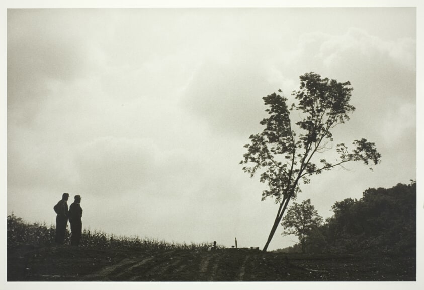 Meldon Grube and Ernie Boettner Fell a Walnut Tree in Order to Sell it and Increase the Farming Acreage, Jo Daviess County, Illinois