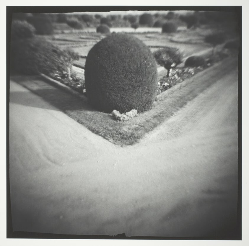 Garden at Chateau Chenonceaux