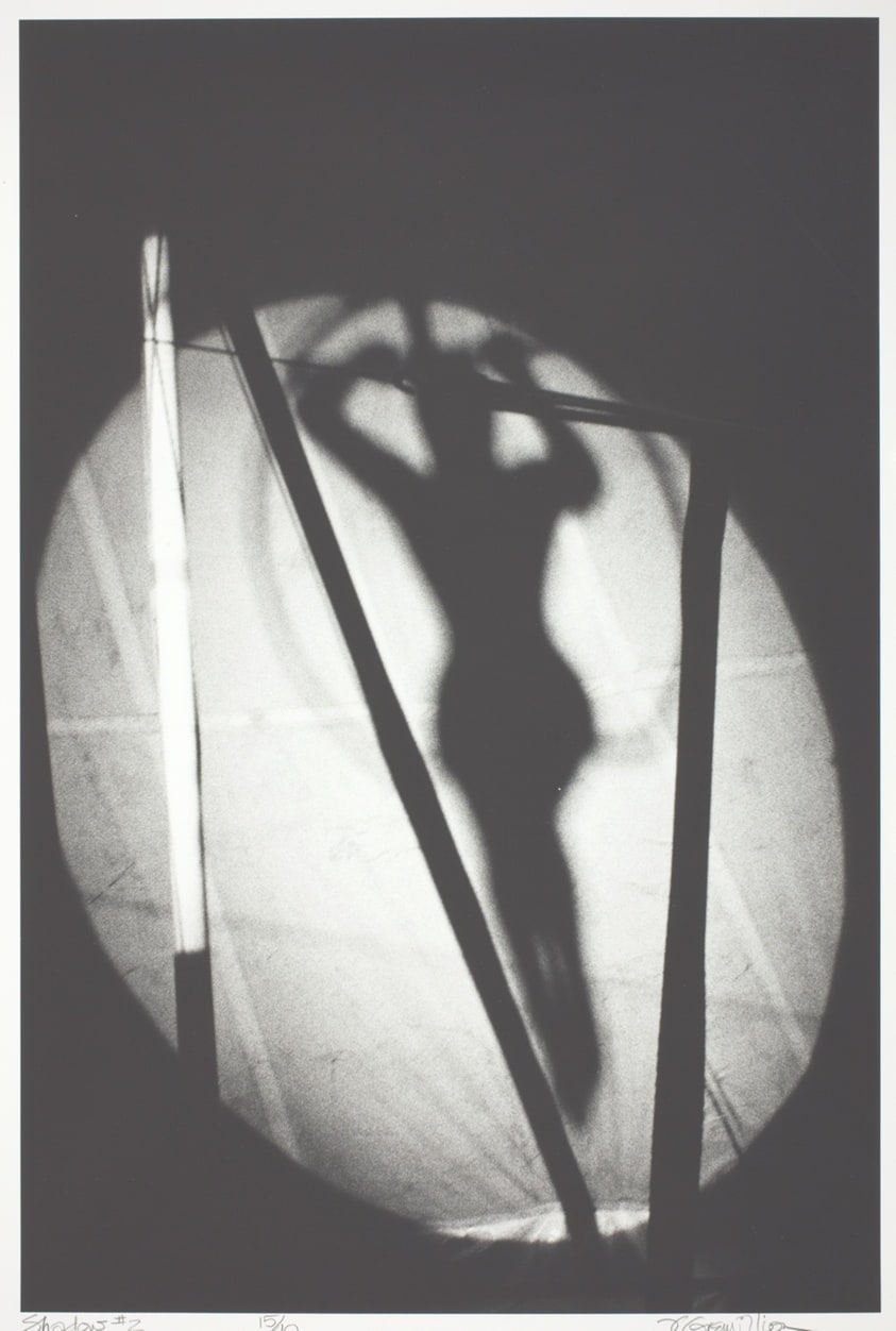 Shadow #2