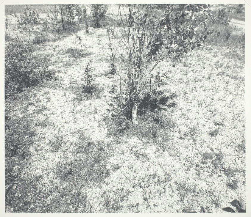 Broken Country #6, 1985