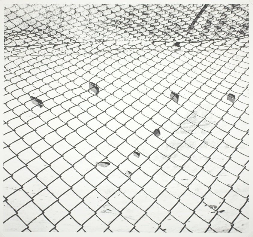 Untitled (Fence 82-4)