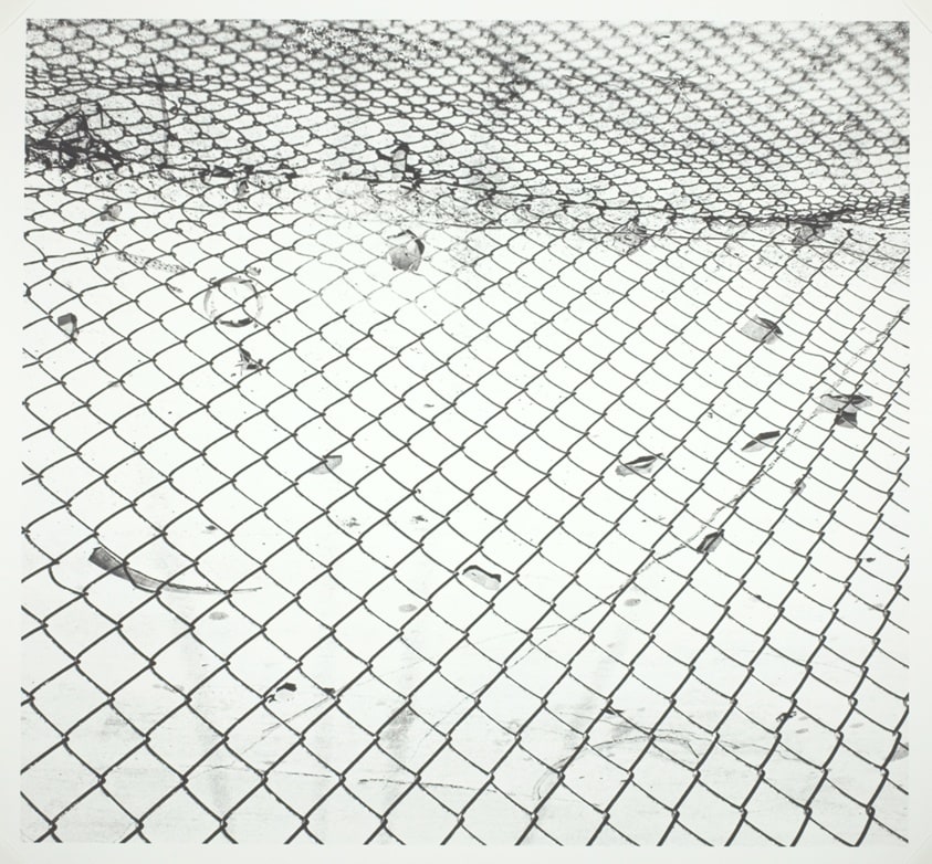 Untitled (Fence 82-9)