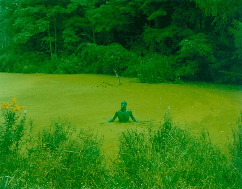 Self-Portrait as the Born Feeling Begins