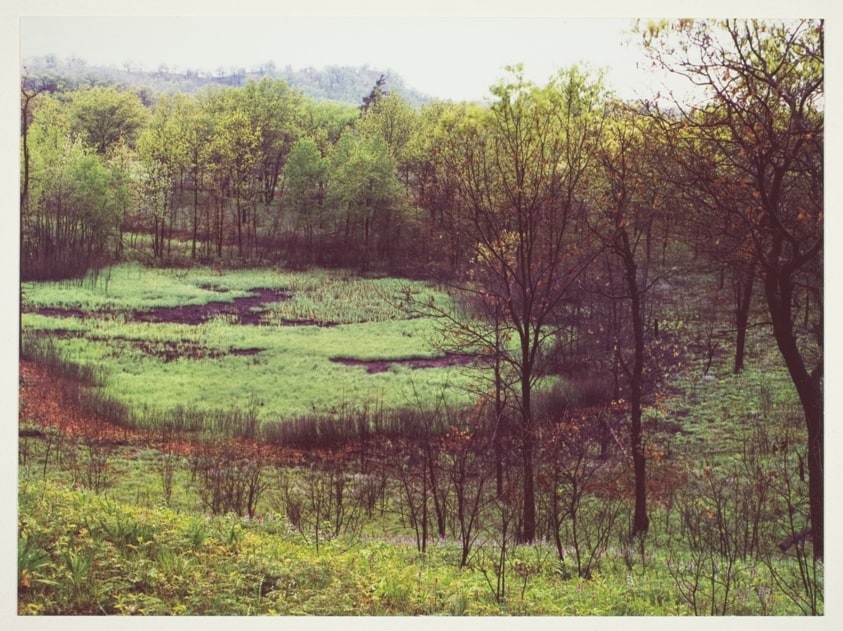Oak Hill I