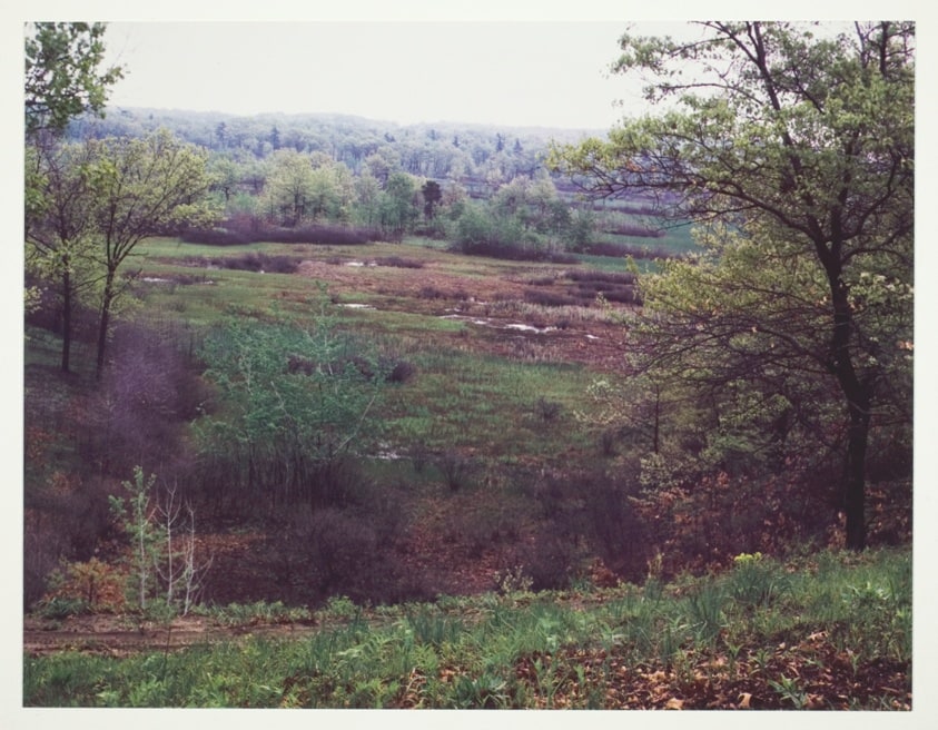 Oak Hill II