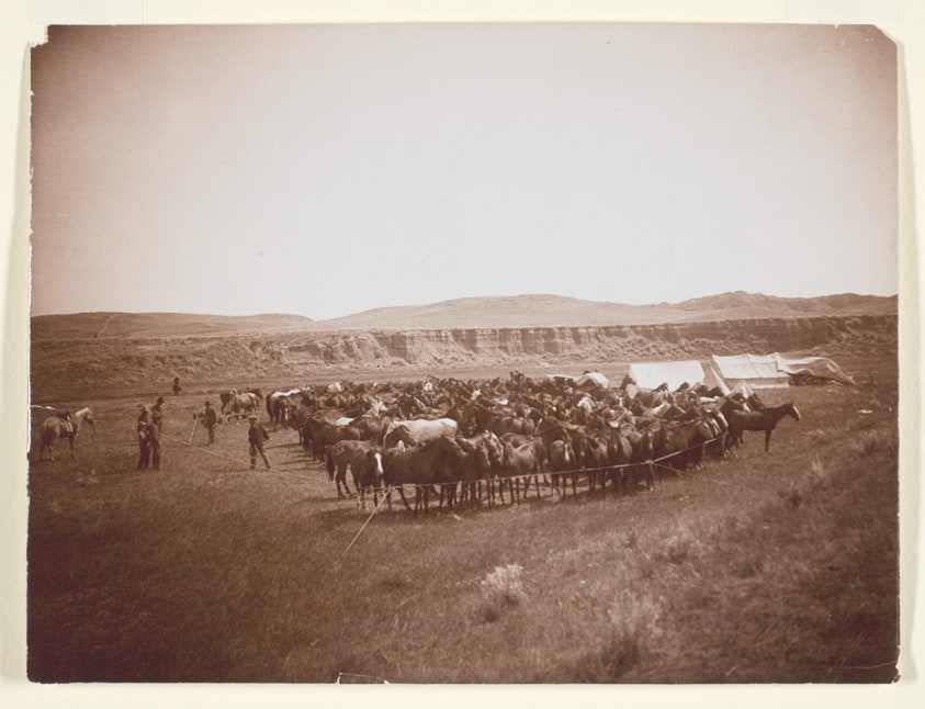 Rope Corral