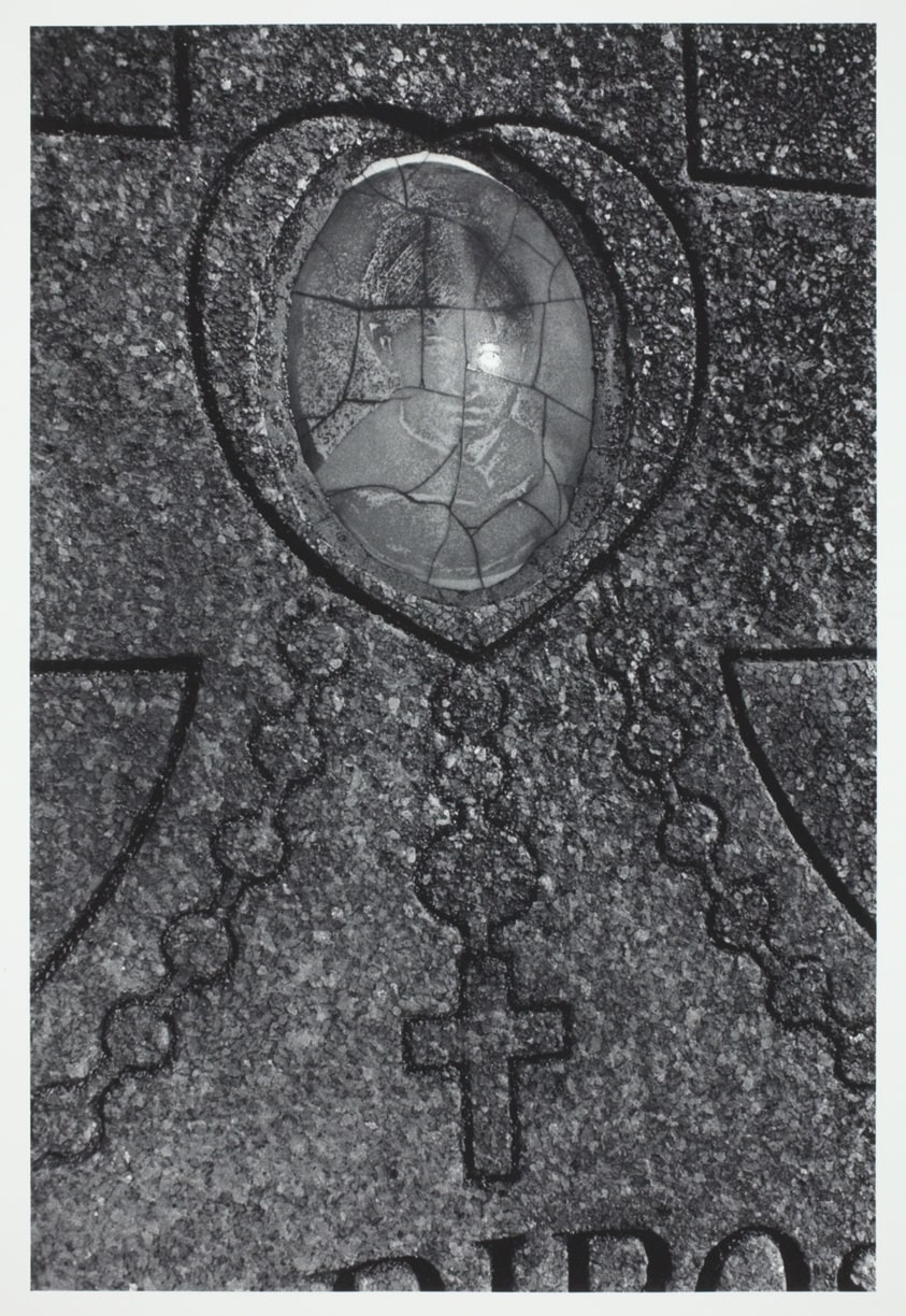 Untitled, 1975