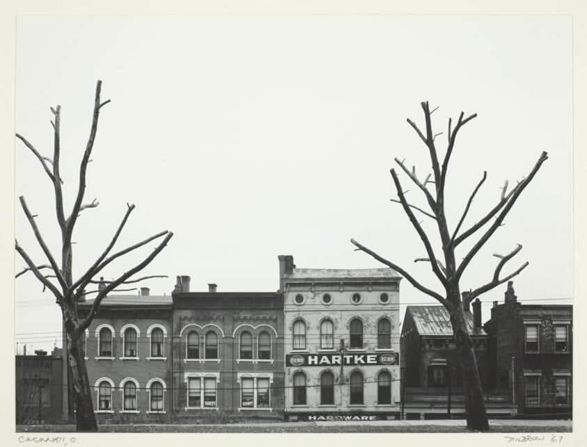 Street with Trees in the Foreground