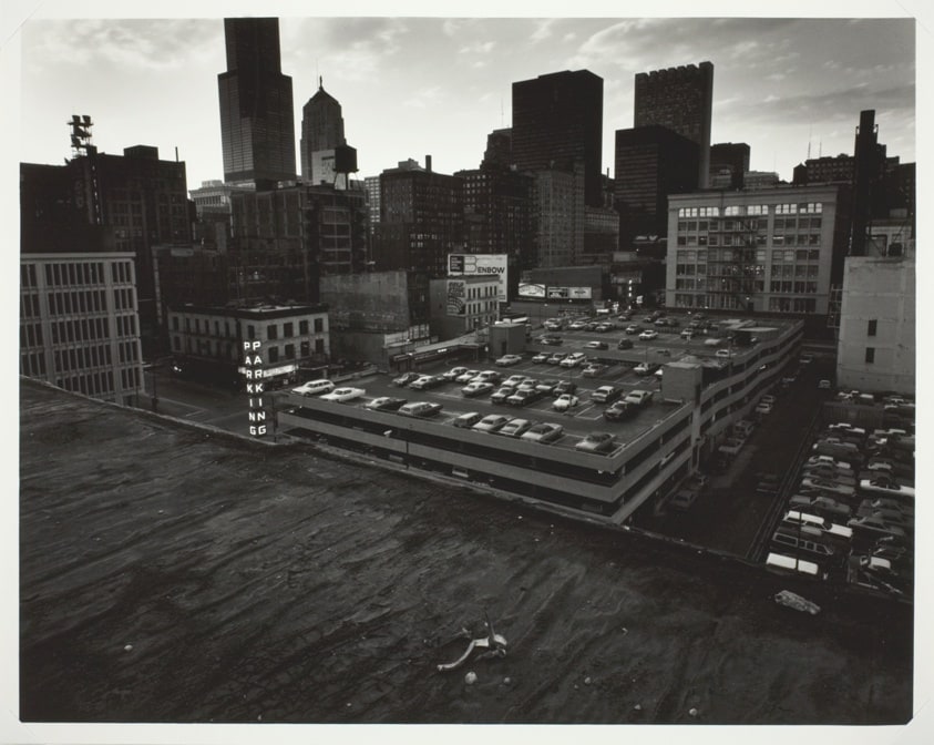 Bones on roof