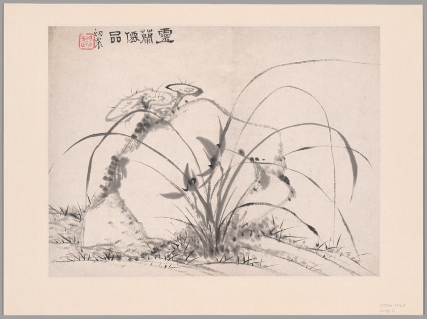 Orchids, Album of Twelve Leaves