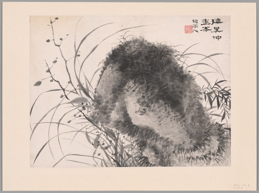 Orchids, Album of Twelve Leaves