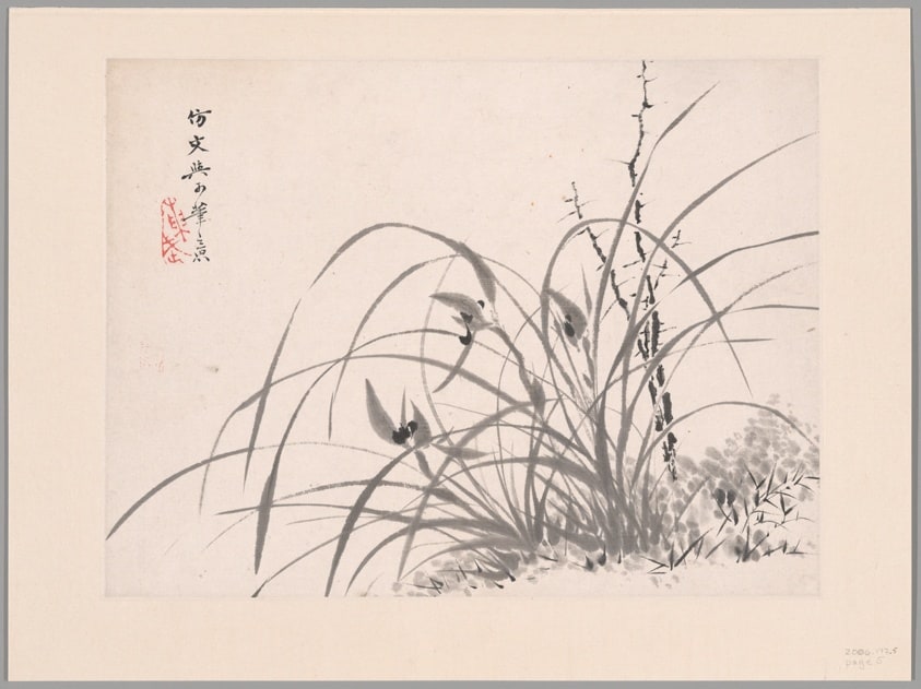 Orchids, Album of Twelve Leaves