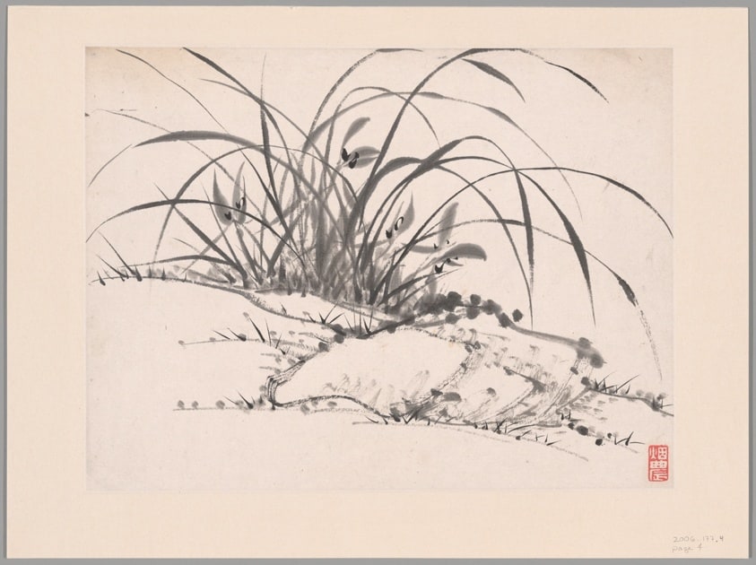 Orchids, Album of Twelve Leaves