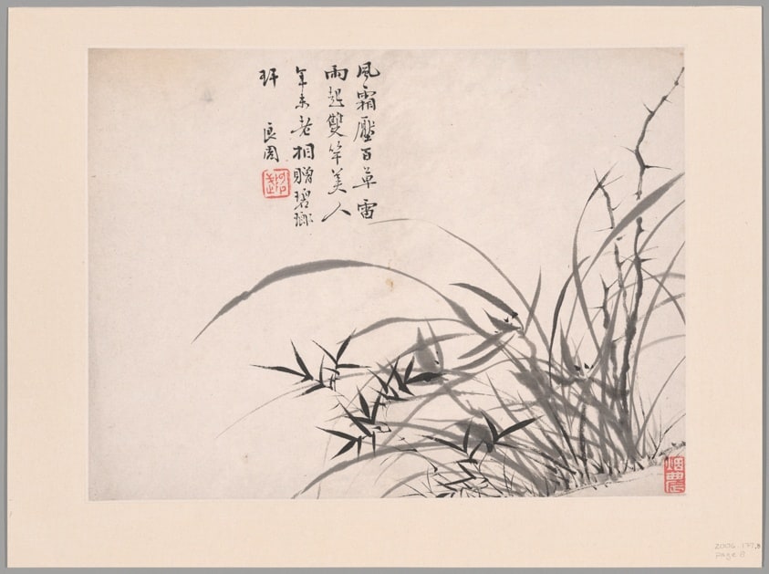 Orchids, Album of Twelve Leaves