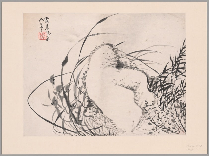 Orchids, Album of Twelve Leaves