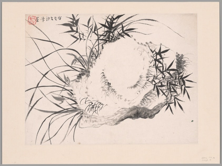 Orchids, Album of Twelve Leaves