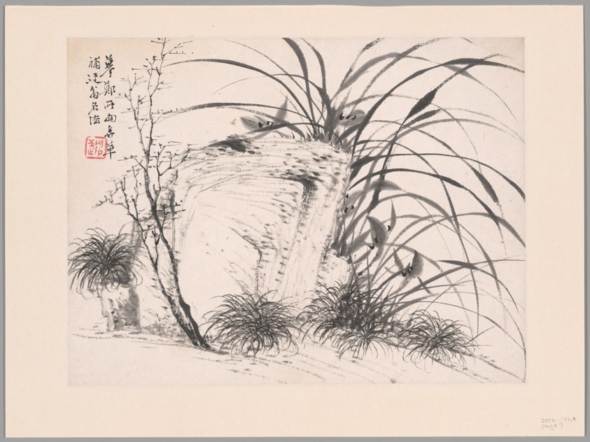 Orchids, Album of Twelve Leaves