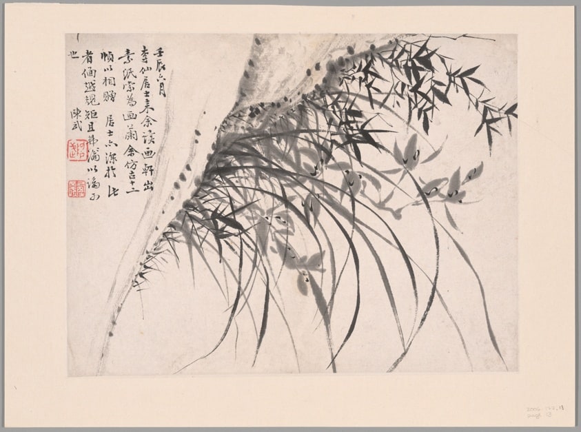 Orchids, Album of Twelve Leaves