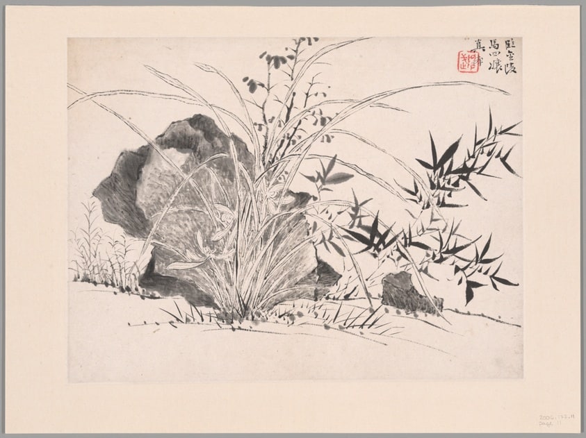Orchids, Album of Twelve Leaves
