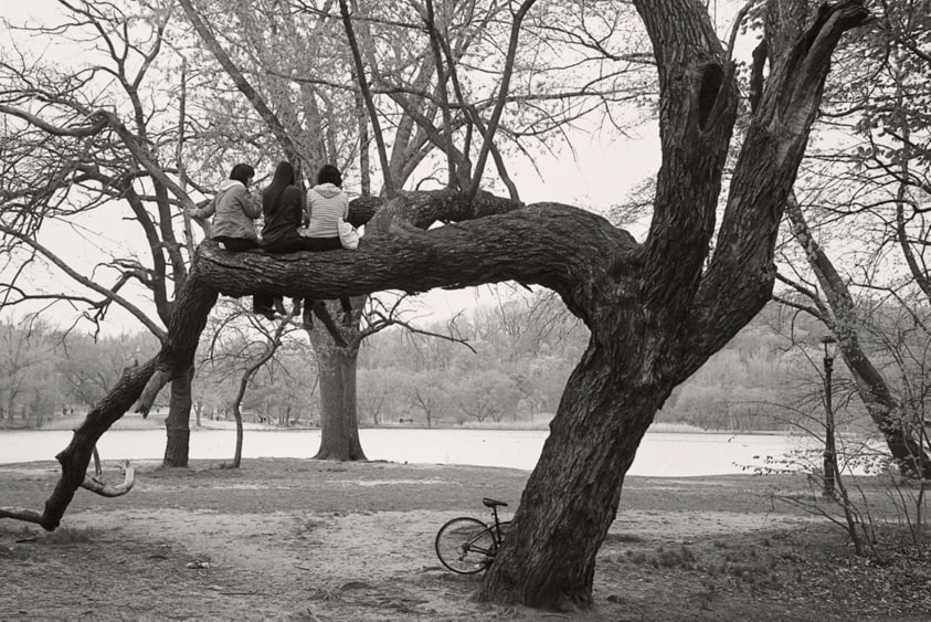 Best Friends, Prospect Park