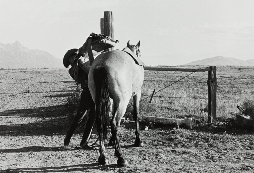 Cowboy and Horses, Jackson Hole