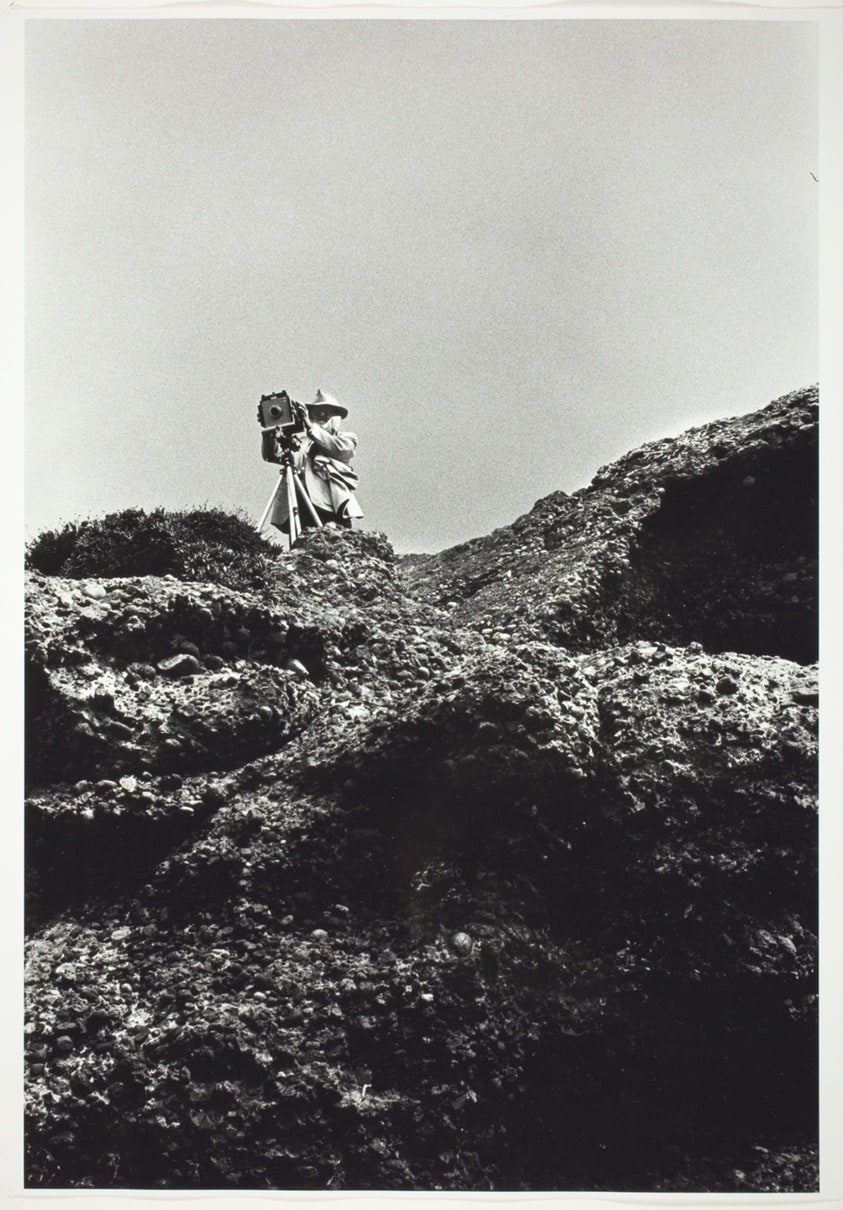 Ansel Adams, Point Lobos