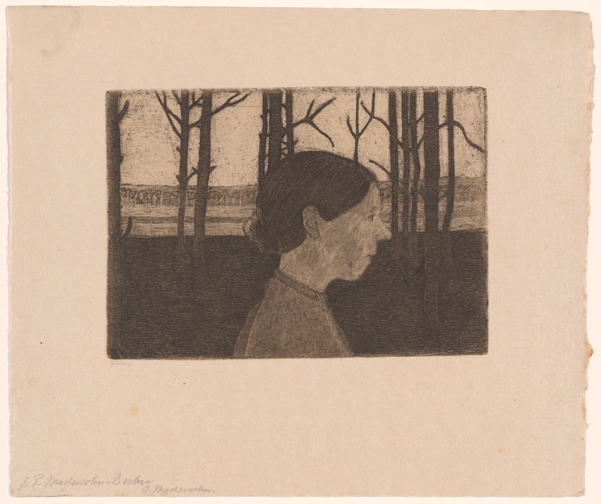 Portrait of a Peasant Woman