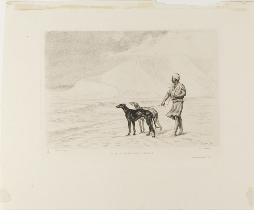 Relay of Dogs in the Desert