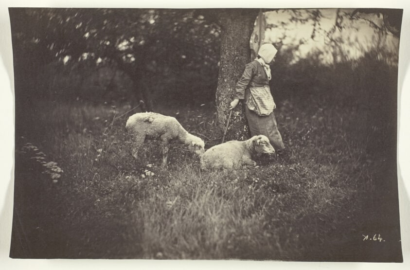 Shepherdess Leaning Against a Tree, with Two Sheep