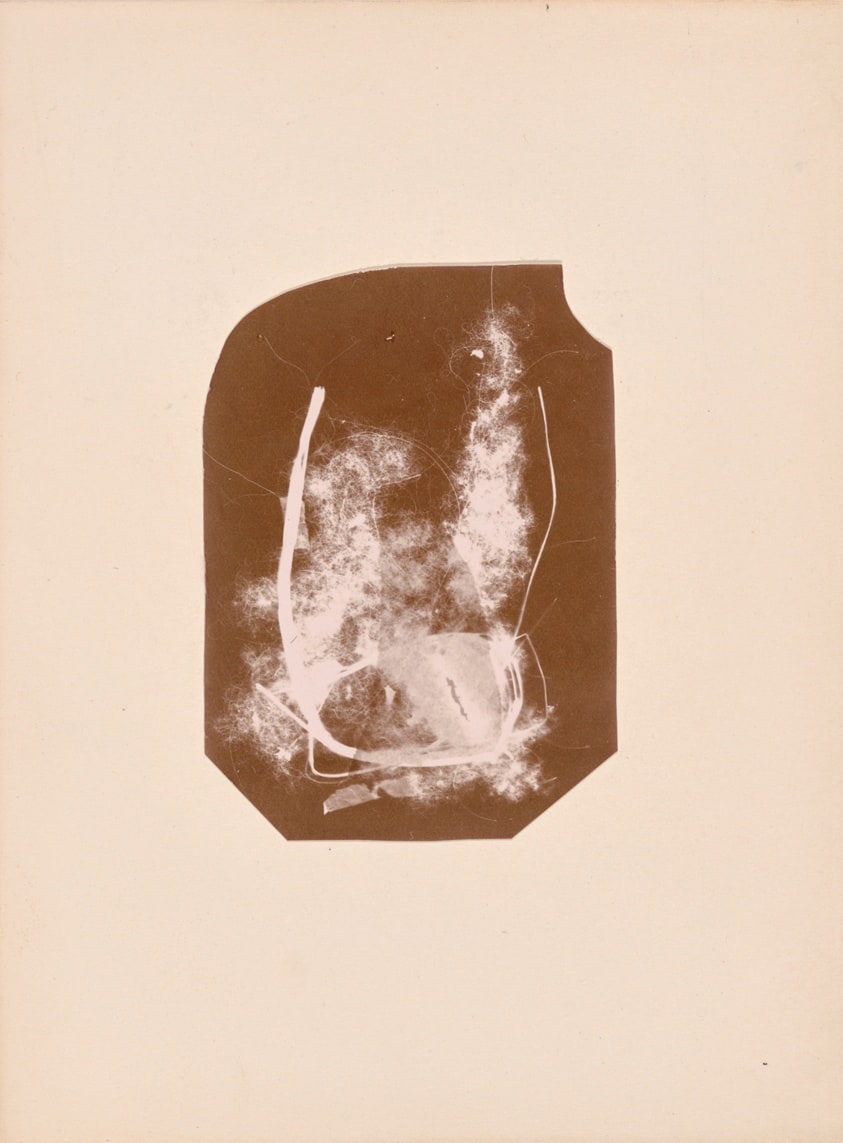 Schadograph