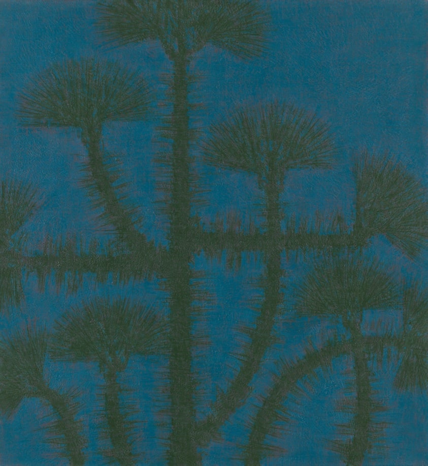 (Winter) Pine