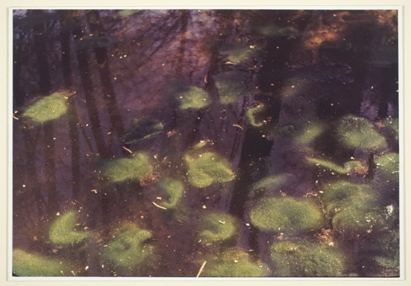 Primordial Pool