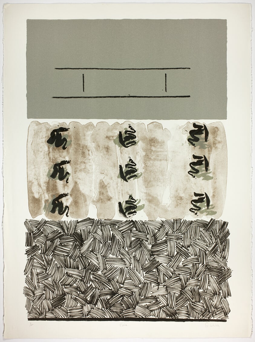 Untitled, from N.A.M.E portfolio