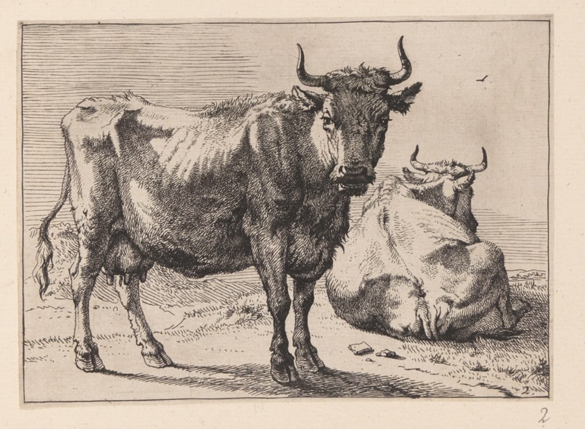 A Cow Standing and Another Lying Down, from Various Oxen and Cows