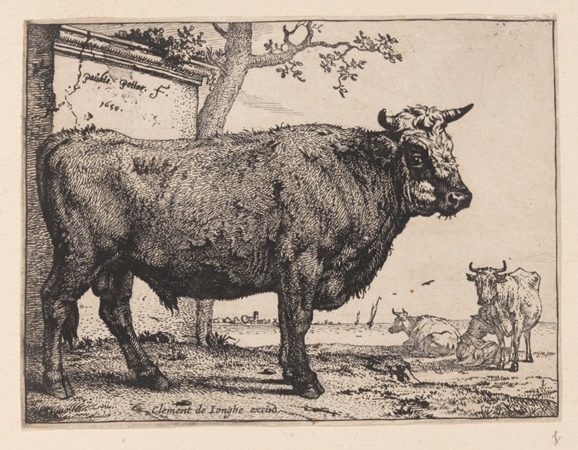 The Bull, from Various Oxen and Cows