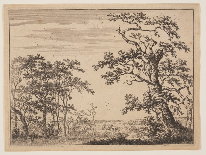 The Pond