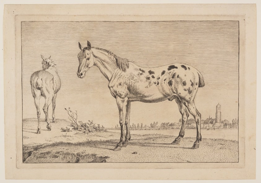 The Neighing Horse, from Series of Horses